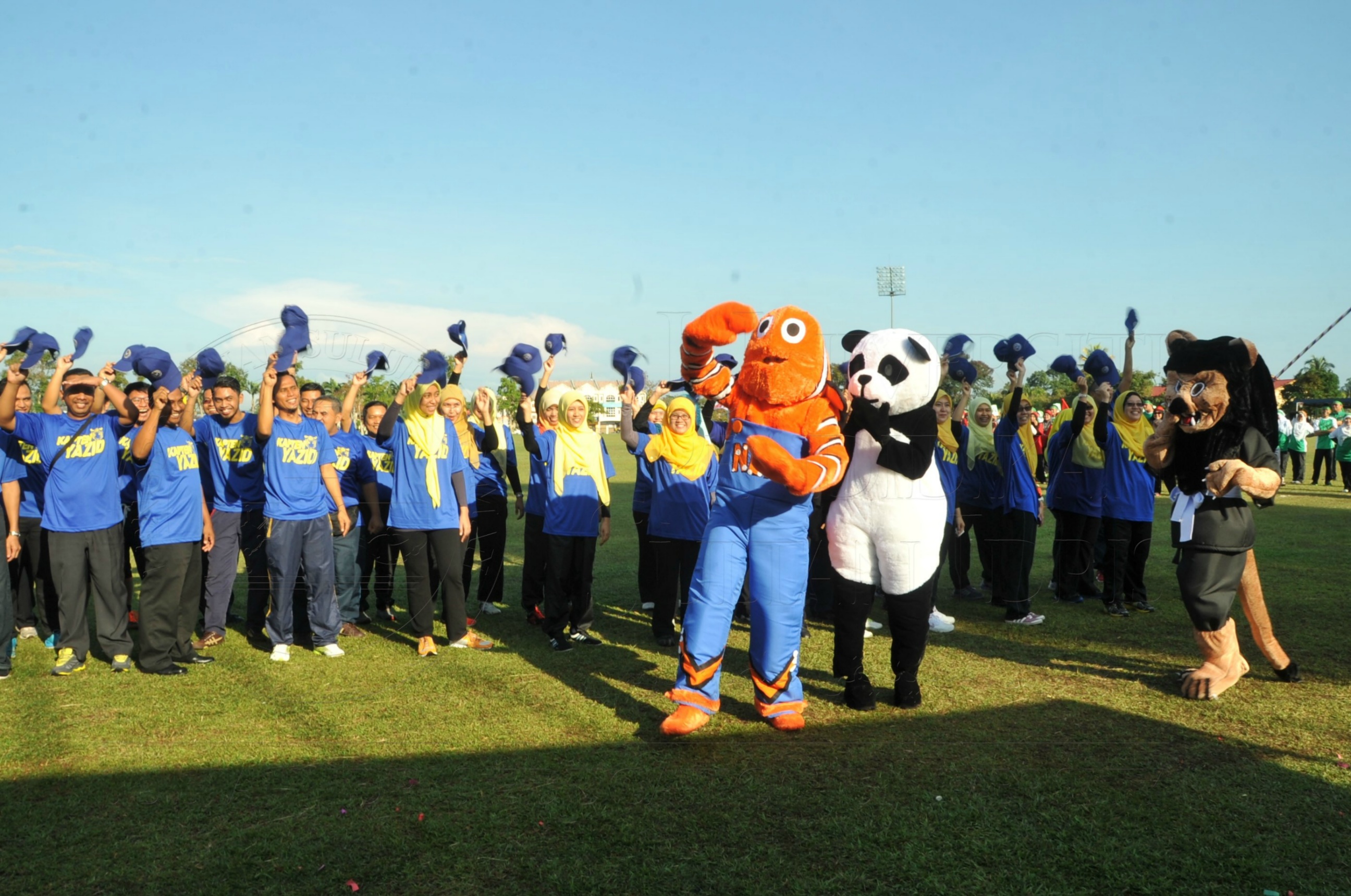 PRO 15 53 KIESTA HAS 3615